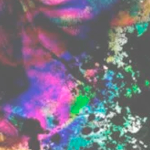 Заказать портрет в стиле (Splash) в стиле поп-арт 3