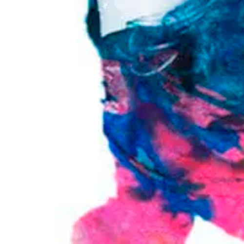 Заказать Портрет в стиле Инк калор 2