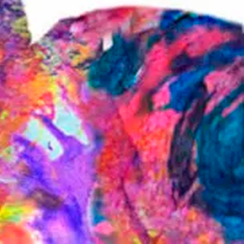 Заказать Портрет в стиле Инк калор 3